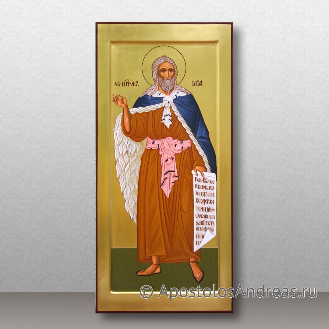 Икона Илья пророк | Образец № 10