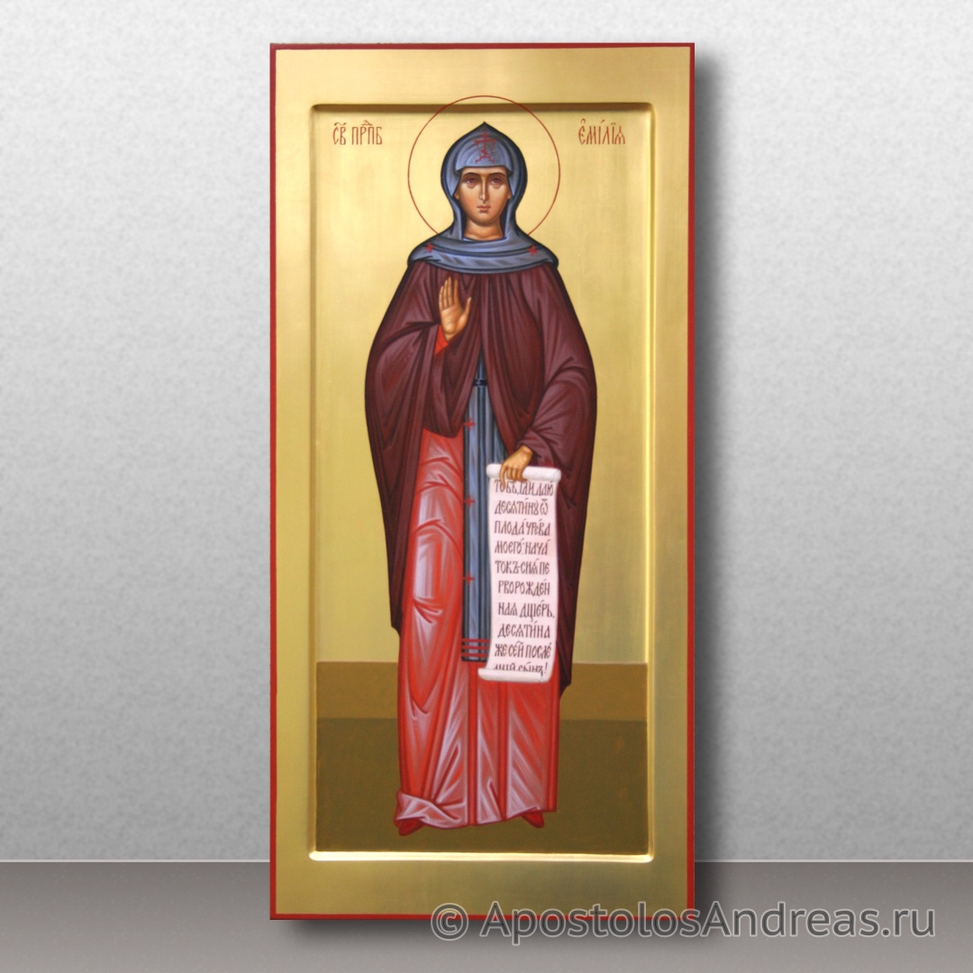 Икона Емилия Кесарийская (Каппадокийская) | Образец № 2