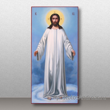 Рукописная икона Господь грядущий