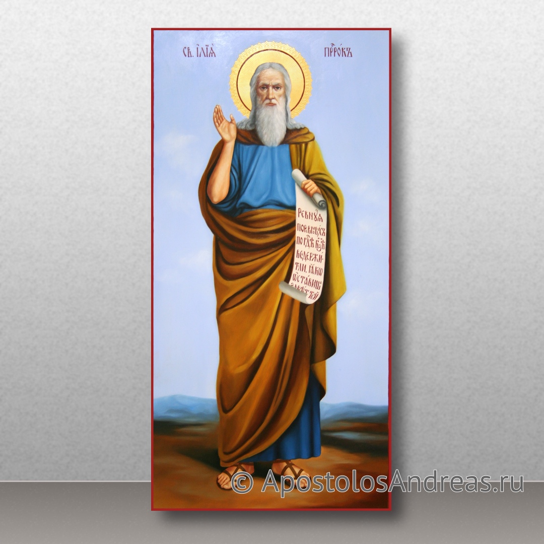 Икона Илья пророк | Образец № 8