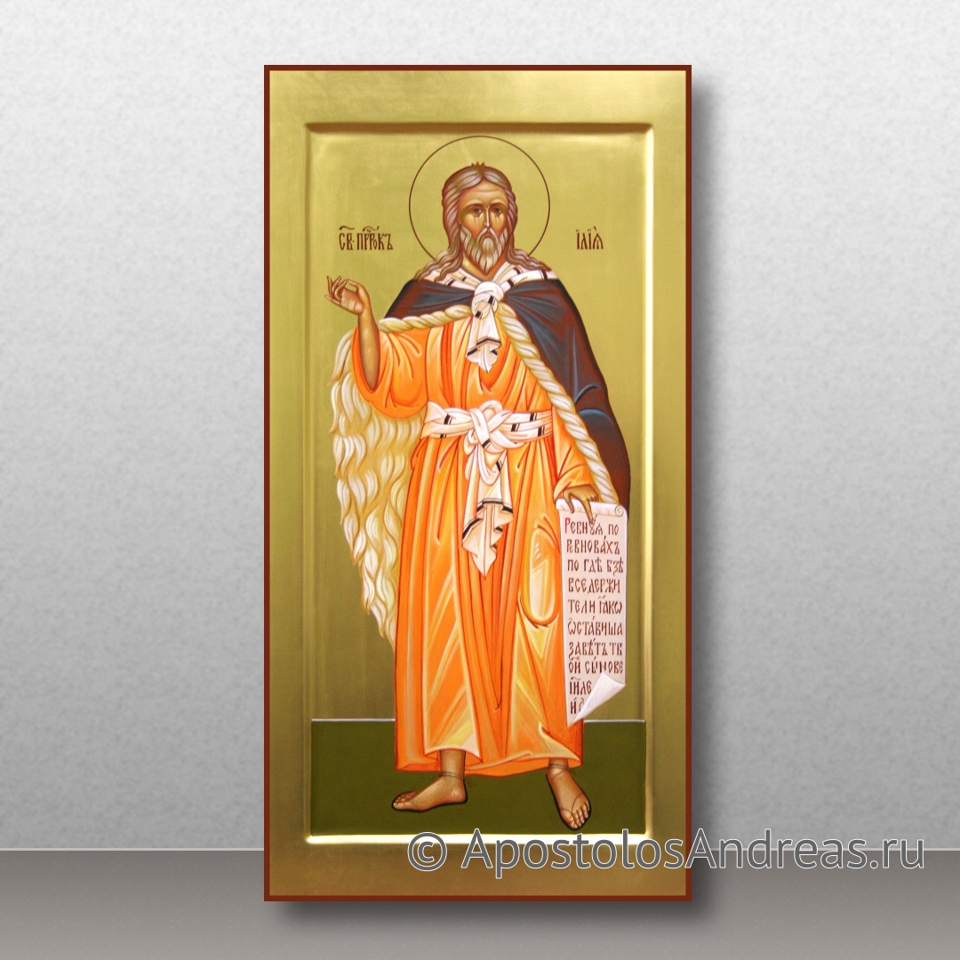 Икона Илья пророк | Образец № 9