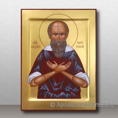 Икона Максим Тотемский, праведный, пресвитер, миниатюра № 1