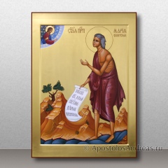 Икона Мария Египетская, преподобная, миниатюра № 4