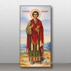 Икона Пантелеймон целитель, великомученик, миниатюра № 16