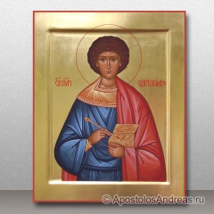 Икона Пантелеймон целитель, великомученик, миниатюра № 3