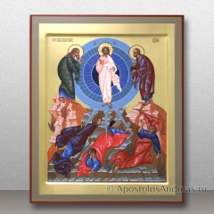 Икона Преображение Господне, миниатюра № 7