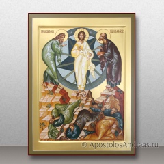 Икона Преображение Господне, миниатюра № 8