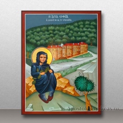 Икона София (Хотокуриду), преподобная, миниатюра № 1