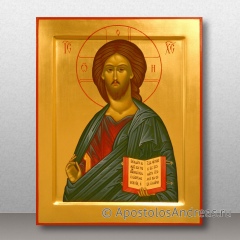 Икона Спас Вседержитель, миниатюра № 27