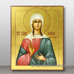 Икона Таисия Египетская, блаженная, миниатюра № 1