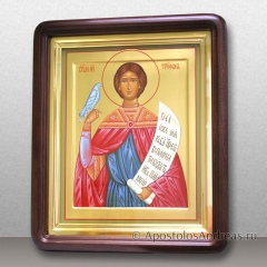 Икона в киоте Трифона мученика, миниатюра № 14