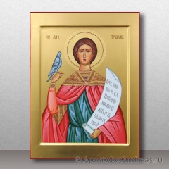 Икона Трифон Апамейский, Никейский, мученик, миниатюра № 4