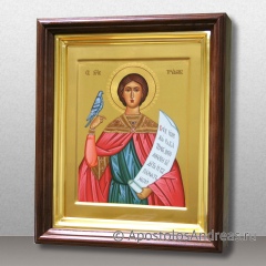 Икона Трифон Апамейский, Никейский, мученик, миниатюра № 5