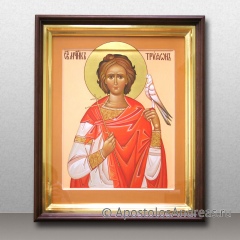 Икона Трифон Апамейский, Никейский, мученик, миниатюра № 7