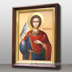 Икона Трифон Апамейский, Никейский, мученик, миниатюра № 9