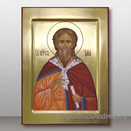 Икона Илья пророк, Фесвитянин — миниатюра № 4