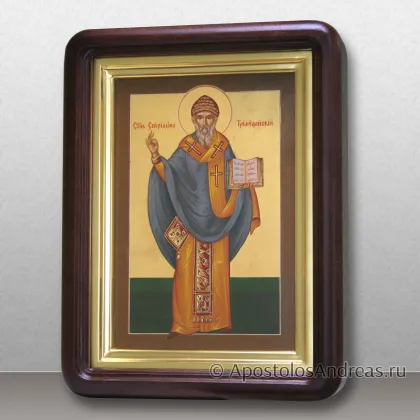 Икона Спиридон Тримифунтский (ростовой) в киоте — миниатюра № 32
