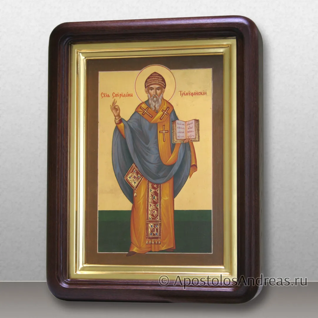 Икона Спиридон Тримифунтский (ростовой) в киоте, в киоте - 25х31, 2024 — образец № 32