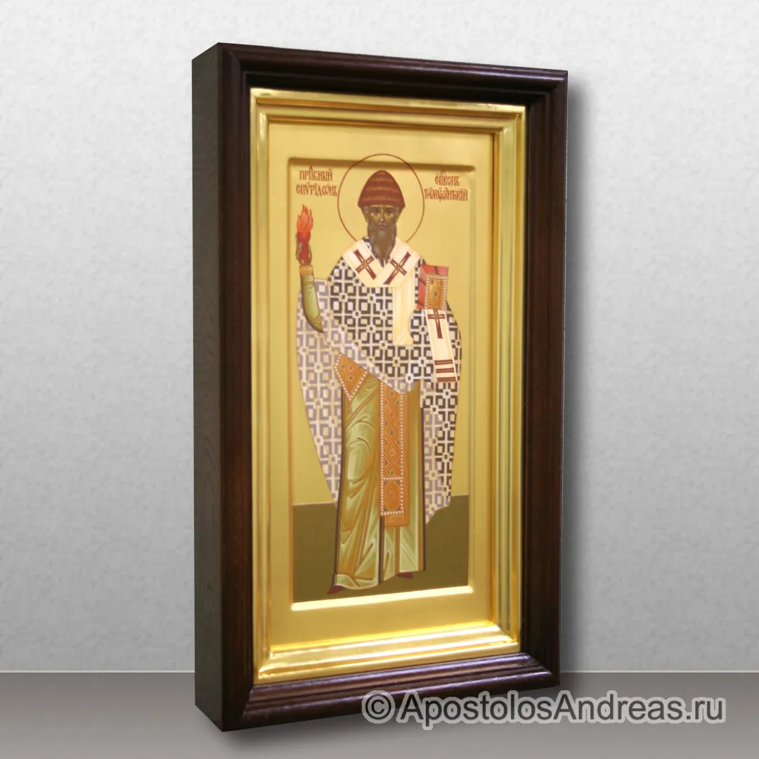 Икона Спиридон Тримифунтский, епископ, святитель — образец № 5