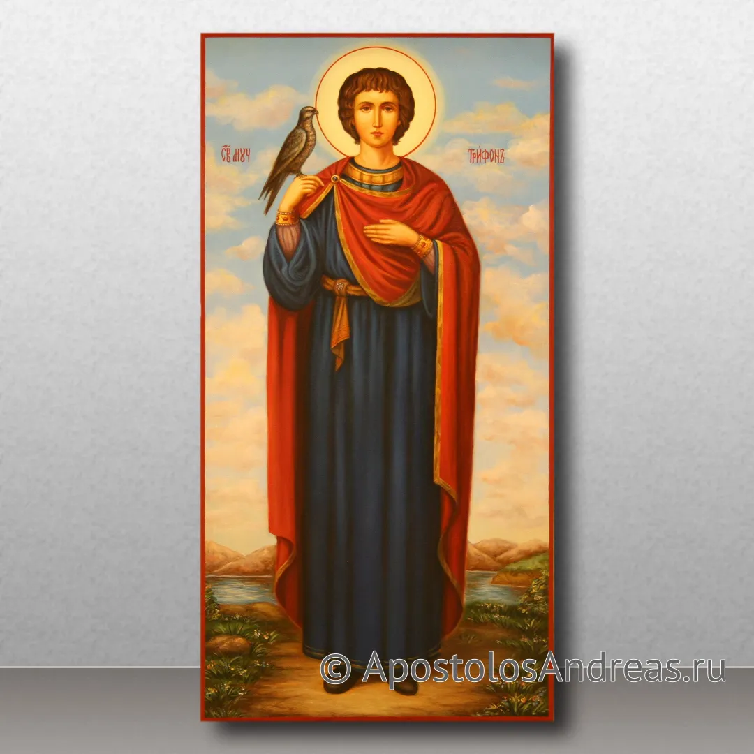 Икона Трифон Апамейский, Никейский, мученик, 2022 — образец № 11