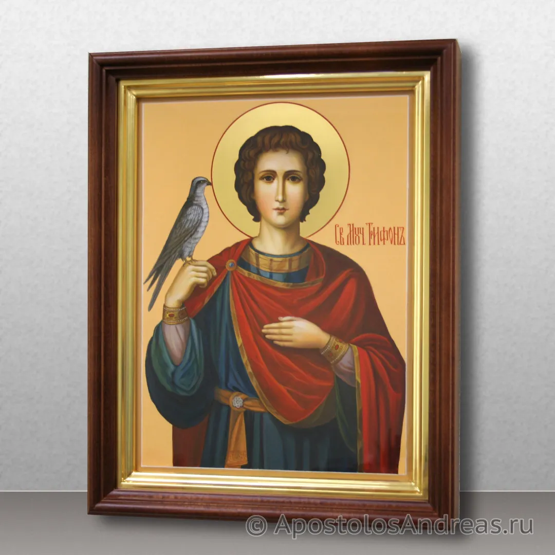 Икона Трифон Апамейский, Никейский, мученик — образец № 3