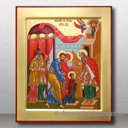 Икона Введение во Храм Пресвятой Богородицы — миниатюра № 2