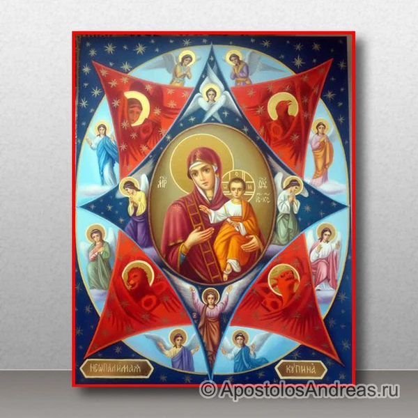 Икона Богородица Неопалимая купина (реализм), образец № 2