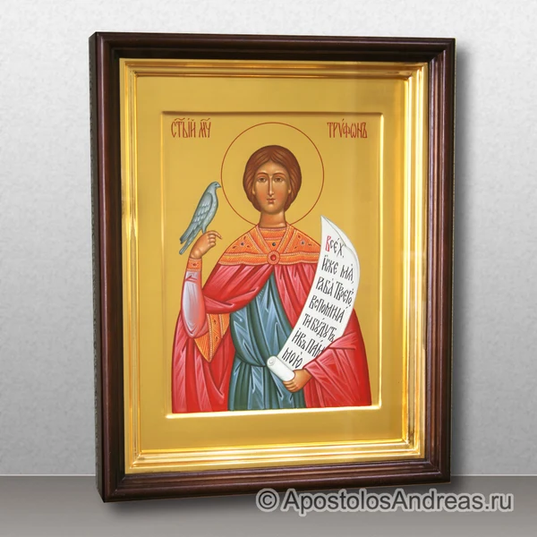 Трифон Апамейский, Никейский, мученик