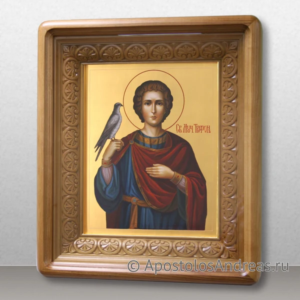 Икона Трифон Апамейский Никейский (в киоте), образец № 6